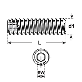 Gewindestifte Unbrako® I-6-Kt. sw 45 H 