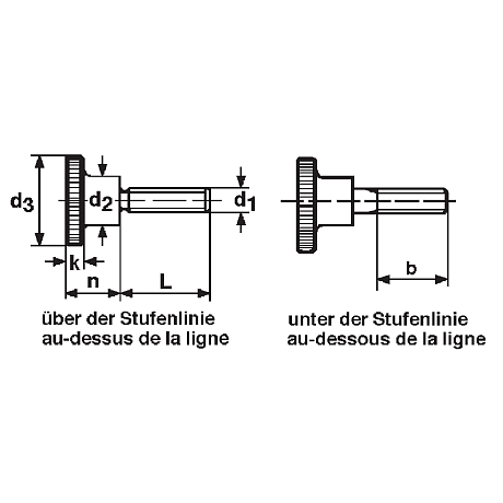 Rändelschrauben Stahl vz DIN 464 [LastViewedItems.CatItem.ArtName2]