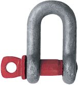 Forma del grillo B 