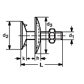 Elevatorschrauben DIN15237 4.6 vz 