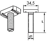 Vis à tête marteau  41/41 Écrou+Rond. 4.6 zingué 